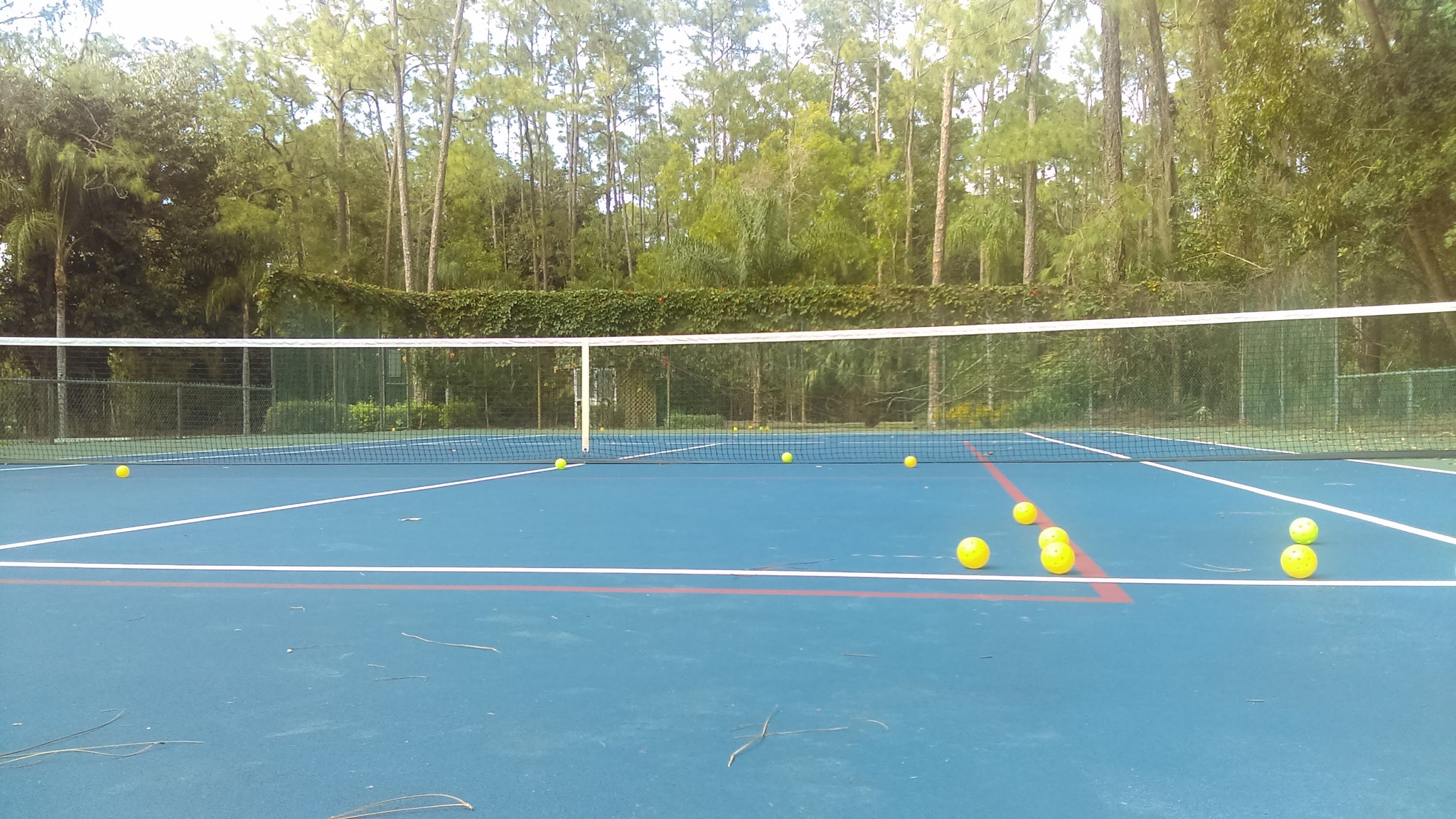 Choosing The Correct Outdoor Pickleball